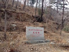 -北京鹫峰国家森林公园