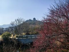 -雅达·阳羡溪山小镇中心