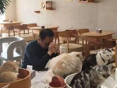 -藏猫猫咖啡主题馆(中央大道店)