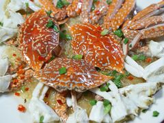 -舒味姜母鸭·沙茶面(湖里店)