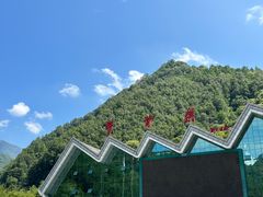 -牛背梁国家森林公园