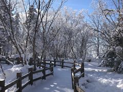 -雪谷