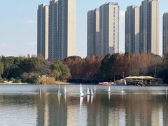 -南翔镇银翔湖公园