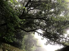 -普陀山慧济禅寺