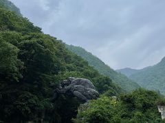 -神农架景区