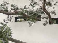 -福道