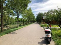 -东郊湿地公园