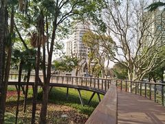 -和平公园