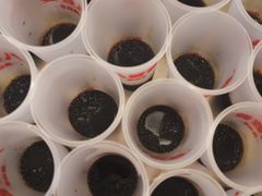 烧仙草-八婆婆烧仙草(中山路店)