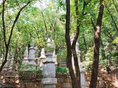 -天津盘山风景名胜区