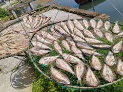 -东钱湖旅游度假区