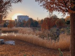 -中关村生命科学园