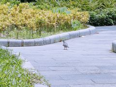 -晓港公园
