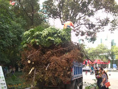 -绵阳人民公园(涪城区)