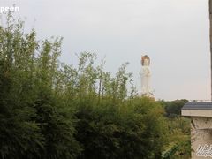 从阳台拍-三亚南山迎宾馆