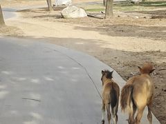 -西安秦岭野生动物园