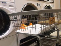 -XI·LaundryCafe 喜咖自助洗衣咖啡店