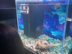 -南昌融创海世界