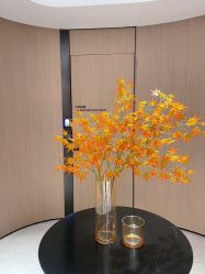 -常熟时代医疗美容