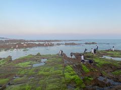 -青岛第二海水浴场
