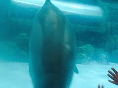 -波塞冬旅游度假区