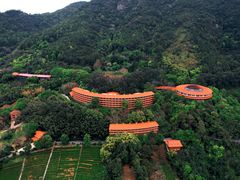 -雁南飞茶田景区