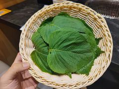 苏子叶-老熟人烤肉城(马家堡店)
