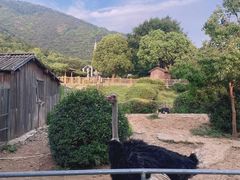 -无锡动物园·太湖欢乐园