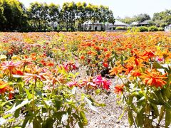 -广东花都香草世界旅游度假区