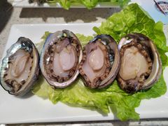 -阿莉餐厅(枣阳路店)