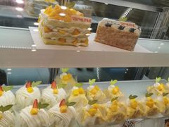 -蒲公英(五里店)