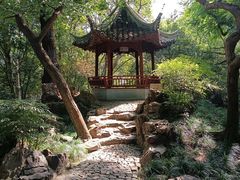 -秋霞圃