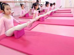 -桃子公主舞蹈培训(万柳校区)