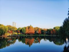 -滨湖塘西河公园
