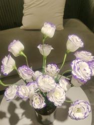 -MIDA蜜哒•科技逆龄美肤连锁