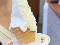 -野人先生Gelato(上海长宁龙之梦店)