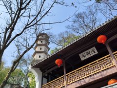 -江心屿景区