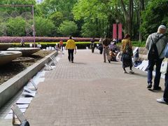 -人民公园-相亲角