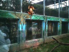 -西安秦岭野生动物园