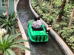 -南宫五洲植物乐园