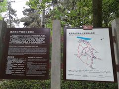 -铁山坪森林公园