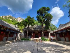-龙泉寺
