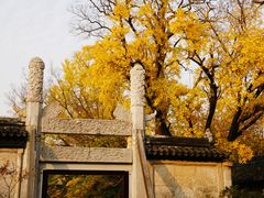 -苏州文庙(姑苏区)