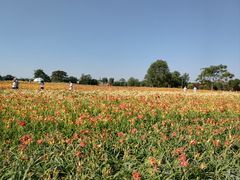 -汉长安城未央宫国家考古遗址公园