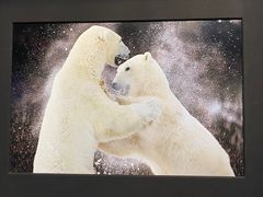 -罗红摄影艺术馆