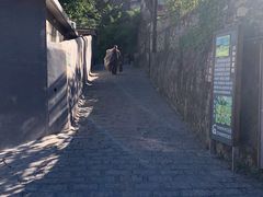 -水峪民俗村