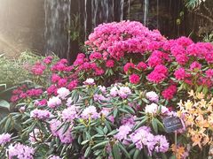 -上海辰山植物园