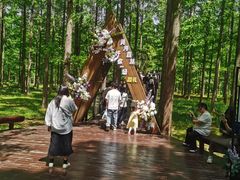 -黄海国家森林公园