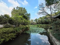 -西溪国家湿地公园