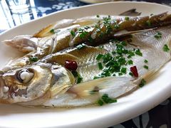 -太湖好灶头土菜馆(石公路店)
